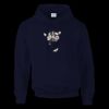 DryBlend® adult hooded sweatshirt Thumbnail
