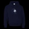 DryBlend® adult hooded sweatshirt Thumbnail