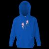 Kids premium hooded sweatshirt Thumbnail