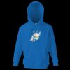 Kids premium hooded sweatshirt Thumbnail