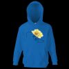 Kids premium hooded sweatshirt Thumbnail