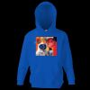 Kids premium hooded sweatshirt Thumbnail