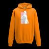College hoodie Thumbnail