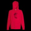 Lightweight hooded sweatshirt Thumbnail