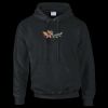 DryBlend® adult hooded sweatshirt Thumbnail