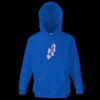 Kids premium hooded sweatshirt Thumbnail