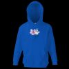 Kids premium hooded sweatshirt Thumbnail