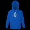 Kids premium hooded sweatshirt Thumbnail