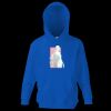 Kids premium hooded sweatshirt Thumbnail