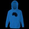 Kids premium hooded sweatshirt Thumbnail