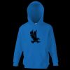 Kids premium hooded sweatshirt Thumbnail