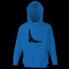 Kids premium hooded sweatshirt Thumbnail