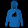 Kids premium hooded sweatshirt Thumbnail