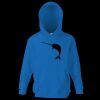 Kids premium hooded sweatshirt Thumbnail
