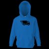 Kids premium hooded sweatshirt Thumbnail