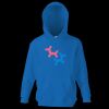 Kids premium hooded sweatshirt Thumbnail