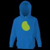 Kids premium hooded sweatshirt Thumbnail