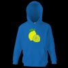 Kids premium hooded sweatshirt Thumbnail