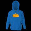 Kids premium hooded sweatshirt Thumbnail