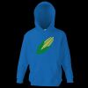 Kids premium hooded sweatshirt Thumbnail