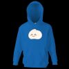 Kids premium hooded sweatshirt Thumbnail