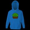 Kids premium hooded sweatshirt Thumbnail