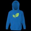 Kids premium hooded sweatshirt Thumbnail