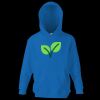 Kids premium hooded sweatshirt Thumbnail