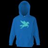 Kids premium hooded sweatshirt Thumbnail