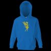 Kids premium hooded sweatshirt Thumbnail
