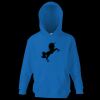 Kids premium hooded sweatshirt Thumbnail