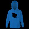 Kids premium hooded sweatshirt Thumbnail