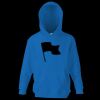 Kids premium hooded sweatshirt Thumbnail