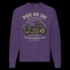 Classic 80/20 raglan sweatshirt Thumbnail