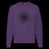 Classic 80/20 raglan sweatshirt Thumbnail