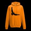 College hoodie Thumbnail