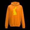 College hoodie Thumbnail