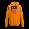College hoodie Thumbnail