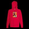 Lightweight hooded sweatshirt Thumbnail